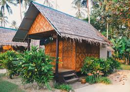 huts with a tropical yard